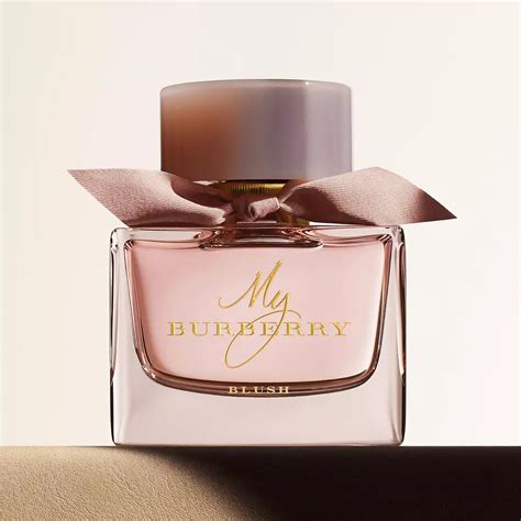 burberry classic fragrantica|which Burberry perfume smells best.